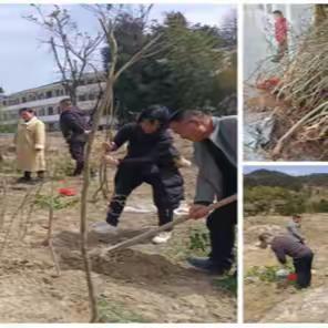 传统文化教育齐行动，争做绿色环保小天使——龙庄湾乡学校2024年上学期植树节活动