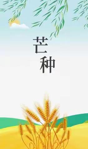 【浐灞教育·宇辰幼儿园】《二十四节气之芒种》——芒种芒种，幸福播种