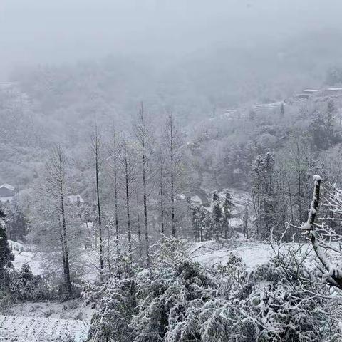 大寒迎年，冬尽春来