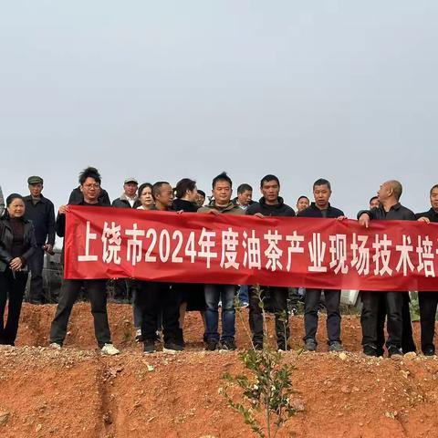 上饶市举办2024 年度油茶产业现场技术培训班