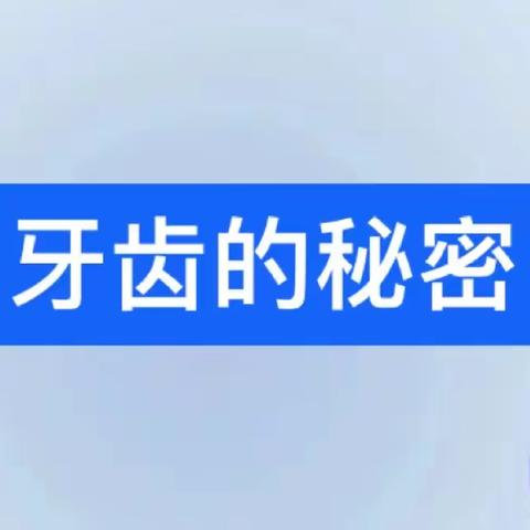 牙齿的秘密——智慧新城幼儿园大三班班本课程活动纪实