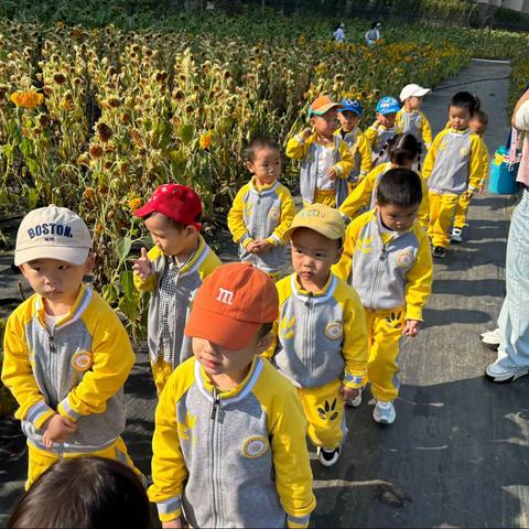 “葵花朵朵开我们去秋游”——问津兰亭幼儿园小三班秋游精彩回顾