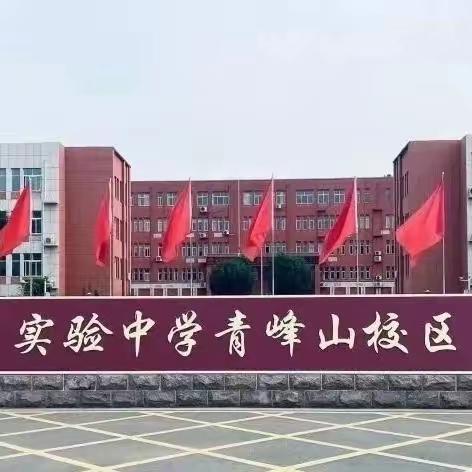 【实中青峰山校区】教研活动||最美人间三月天,研讨交流绘新篇——小学部数学公开课展示活动