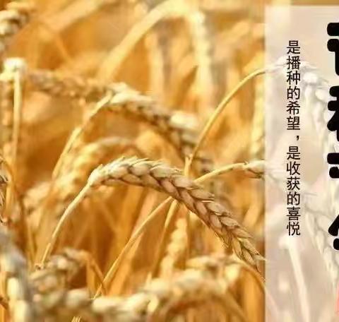 【汇爱幼儿园】芒种至，盛夏始——二十四节气之芒种