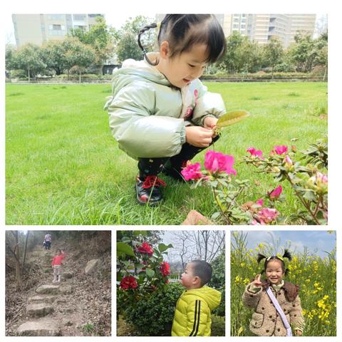 小2班-奇奇怪怪的春天