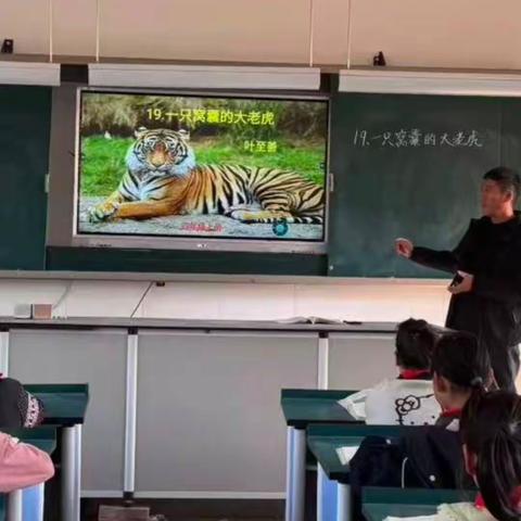 专注与互动交织的课堂纪实——前常岗小学公开课