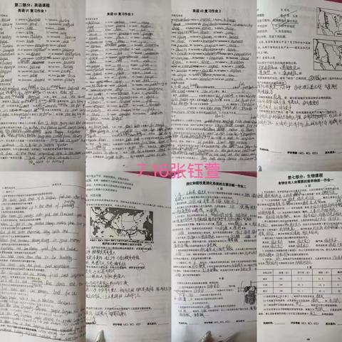不负夏日好时光，乐享暑假促成长——昌乐北大公学新八年级暑假小学期优秀作业精彩展示