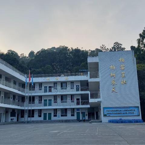 以研促教，助力成长  柏树小学理科组2023秋同课异构教学研究活动纪实