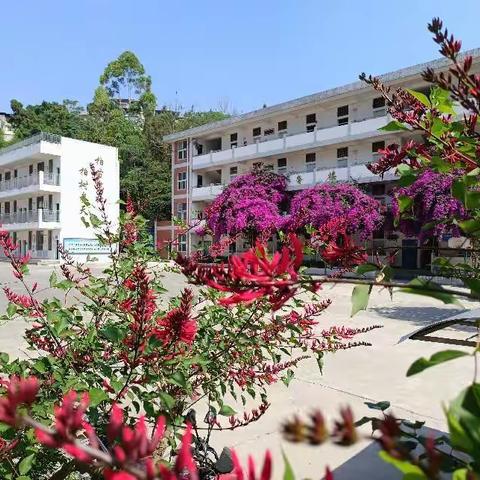 教学精研多思考，智慧火花处处烧——柏树小学2024春理科组教学研讨活动纪实