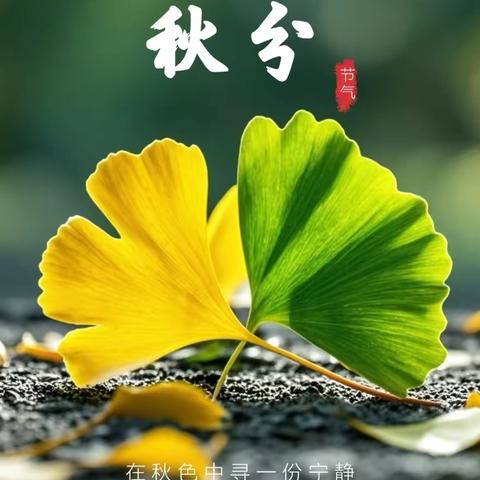 荆州小学【快乐鸟】声讯台第325期 ‍               “ 昼夜平分.秋色宜人”——秋分