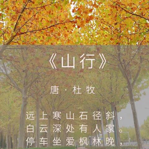 落叶🍂知秋——寻找“秋天”的足迹🍀