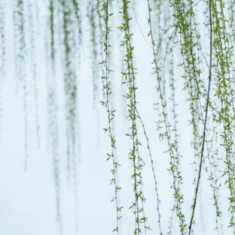 辛集分公司3月物业工作月报