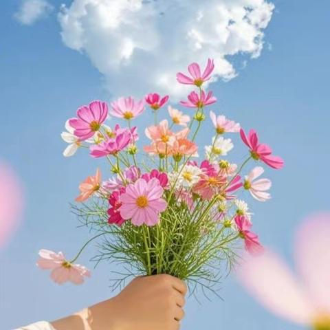 辛集分公司9月物业工作月报