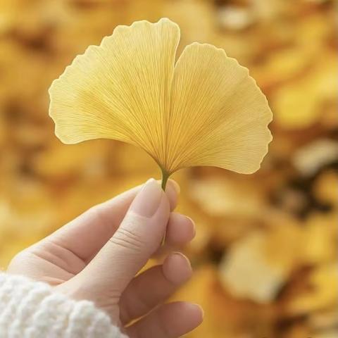 辛集分公司10月物业工作月报