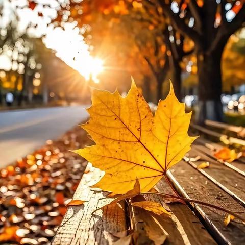 辛集分公司11月物业工作月报