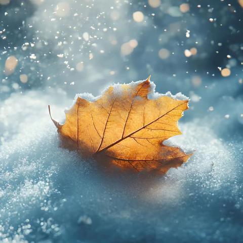 辛集分公司12月物业工作月报