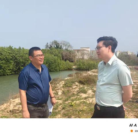 市委常委、常务副市长陈楠林到板桥开展巡林工作