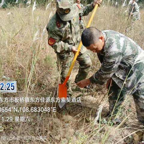 植绿护海添新颜！板桥镇圆满完成辖区海防林断带补植工作