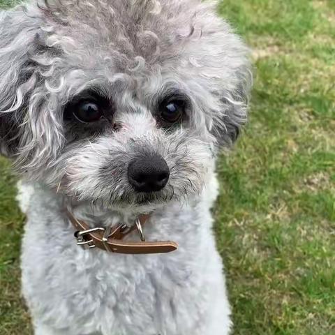 常常喜乐的简篇