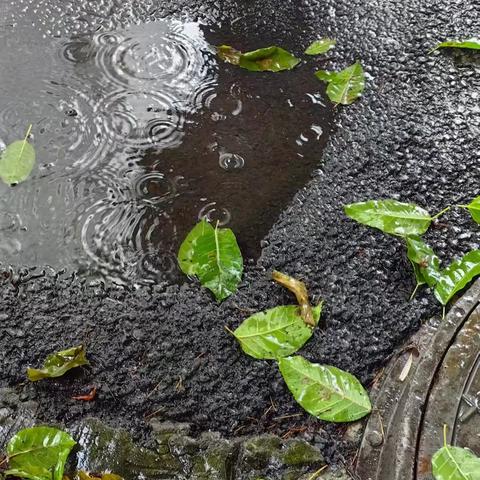 夏天的雨