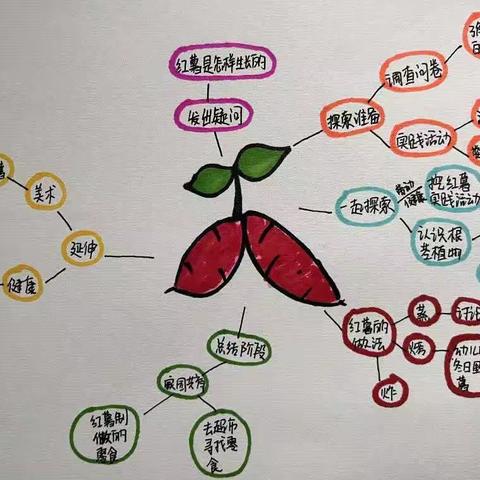 “薯”你最有趣——机关幼儿园分园中一班生活化课程