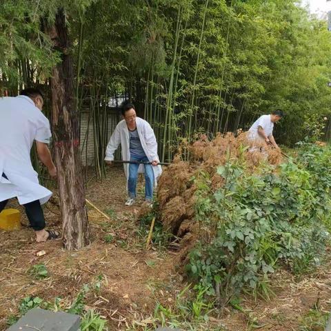 大荔韦林中心卫生院开展绿色低碳主题宣传活动