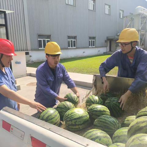 炎炎夏日送清凉  丝丝凉意沁人心