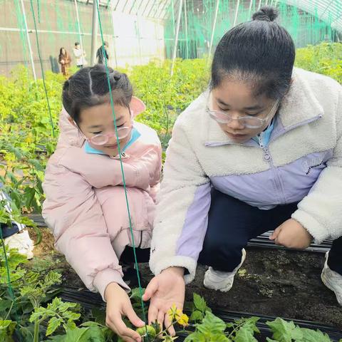 龙海矿镜共同体“浸润生态之美·体悟农耕之乐”研学活动纪实