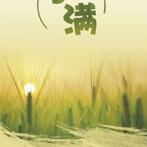 初夏迎小满，万物皆欢喜——淮安市洪泽第二实验小学五（9）中队小满劳动实践活动