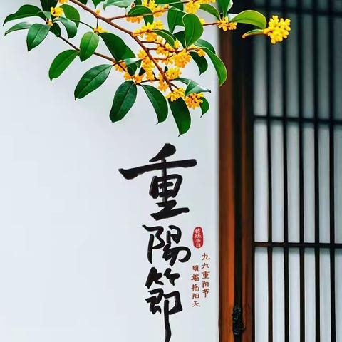 重阳敬老——西安凝香苑老年公寓帮扶甫店村幸福院同庆重阳活动，助力乡村振兴！