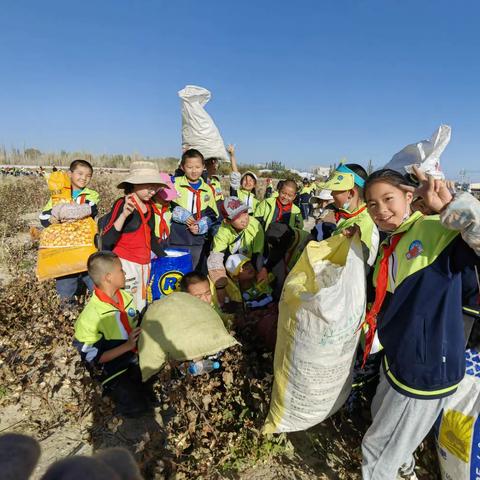 劳动实践 —摘棉花             渊泉第二小学五（3）班    赵思桐