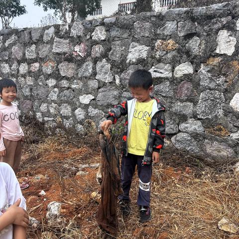 祁东县石亭子镇中心小学“开展环境清洁，共建美好校园”