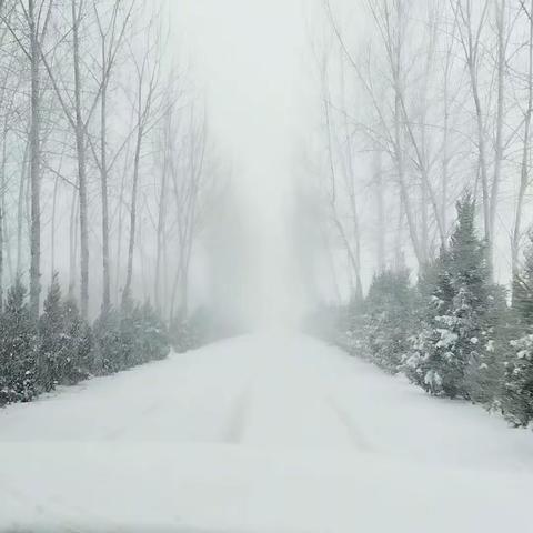 冬天最美是雪花漫天飞舞