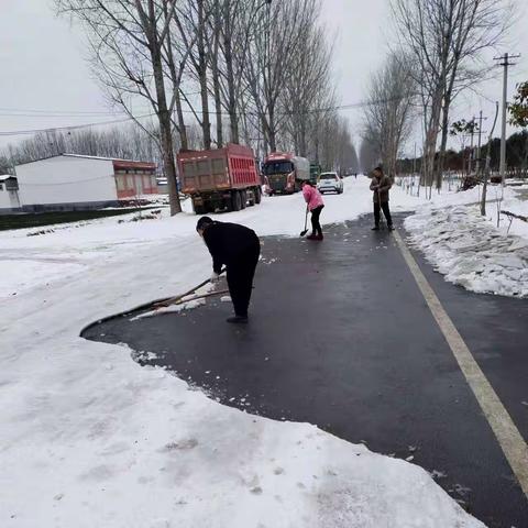 冬日暖人心，扫雪我先行——南姚村组织铲雪除冰活动