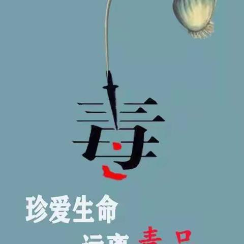 海口市长流中学“珍爱生命  远离毒品”主题班会