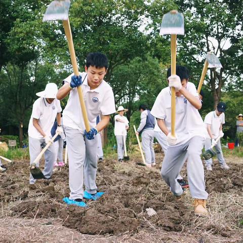 绵阳师范附属幼儿园劳动实践活动