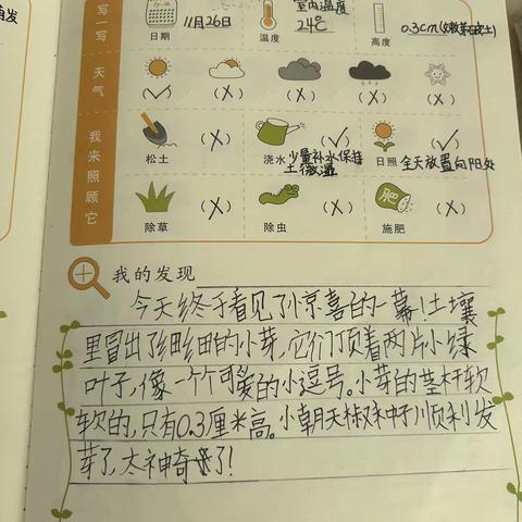 ［德惠市实验小学四年十班］耕读雪趣，童心飞扬 ‍  ‍ ‍