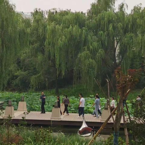 九州路街道6月27日工作动态