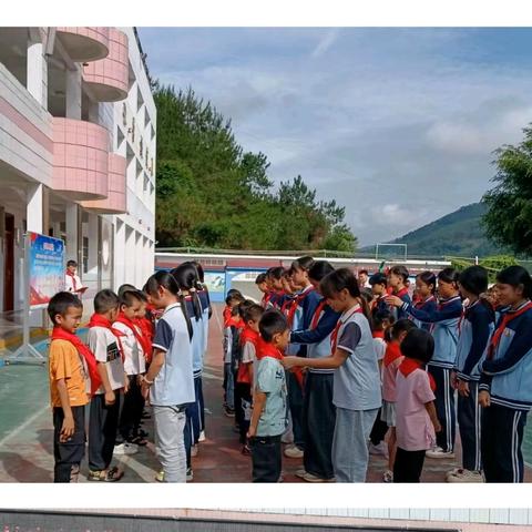 活力校园，精彩绽放——阳圩镇中心小学第十五周工作总结