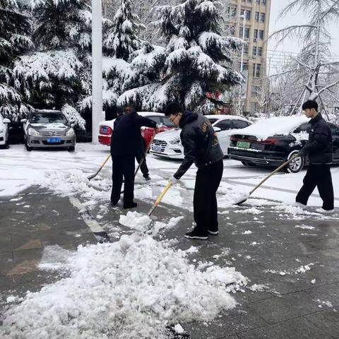 鹤壁经济技术开发区：以雪为令 闻雪而动