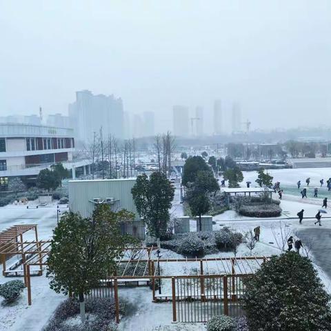 瑞雪映笑脸 欢乐满校园 ——合肥市第三十八中学东校开展冬季特色实践活动“打雪仗”