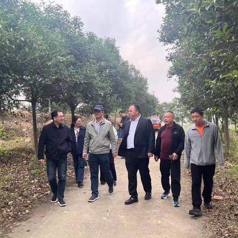 “两茶一药”产业调研行