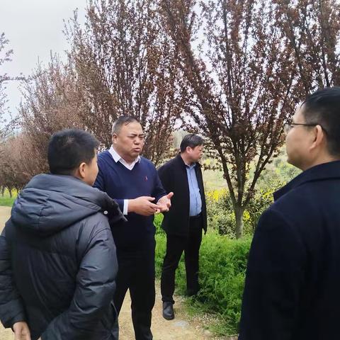 倾真情促产业发展 用真心为企业赋能