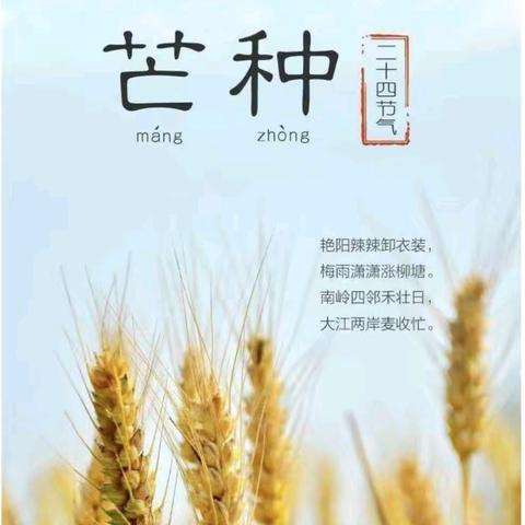 仲夏至，芒种忙——楚贾杜小学二十四节气之芒种实践活动