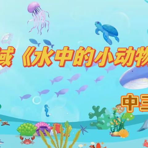 示范区金阳光幼儿园中三班区域活动《水中的动物》