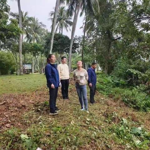 【琼海玉禾田】阴雨天下的城市守护者：环卫工人的辛勤与美丽（11月29日）