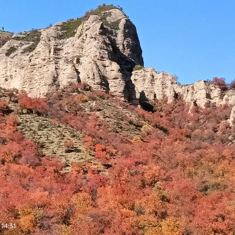 描绘家乡美景  感受家乡美景