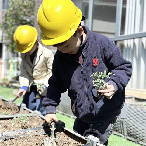春暖花开 “植”得期待——金湾阳光幼儿园植树节主题活动