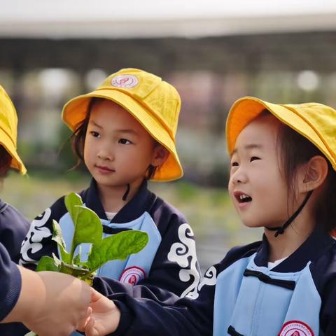 【识五谷以通世道、知农事以晓农情】——许慎静和幼儿园第二期春耕研学活动 ️