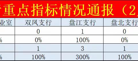 强基固本：盘州支行重点业务指标二月第三期